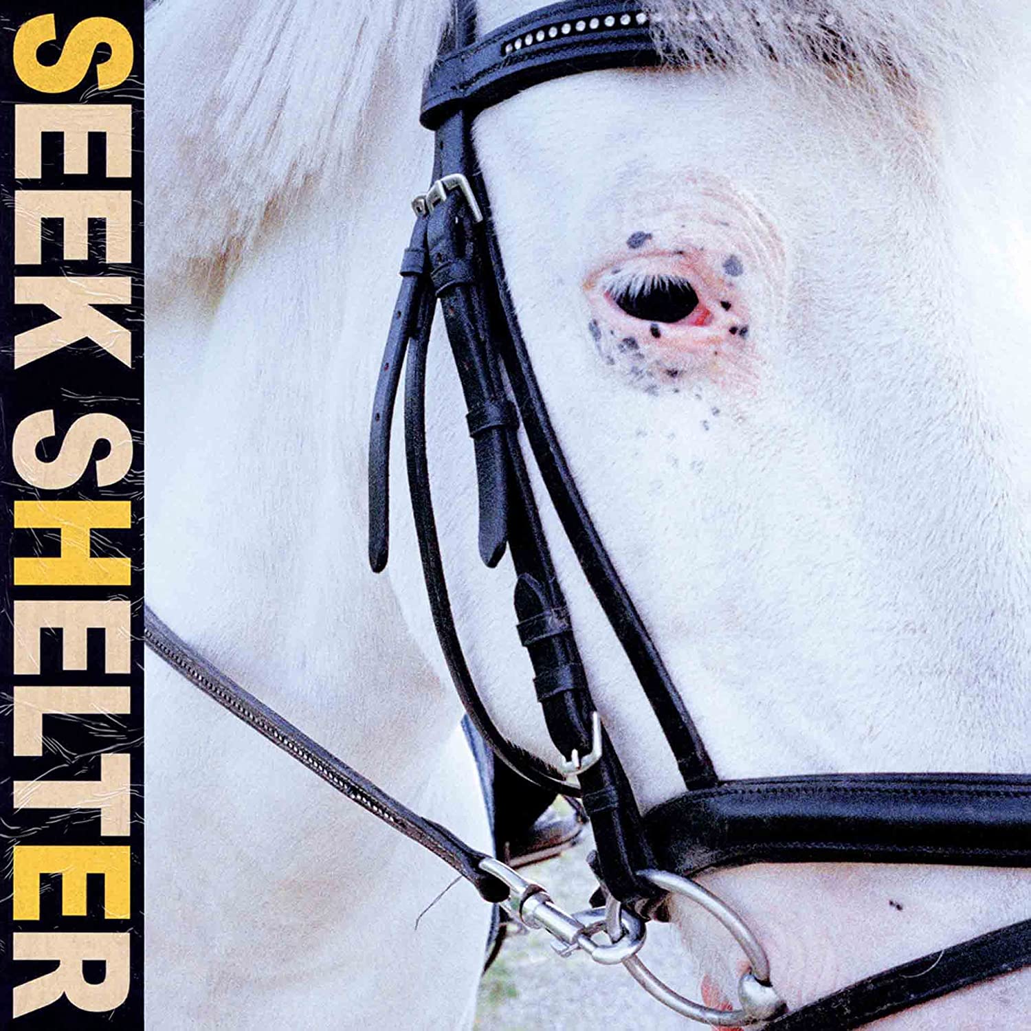 Seek Shelter Cover Art