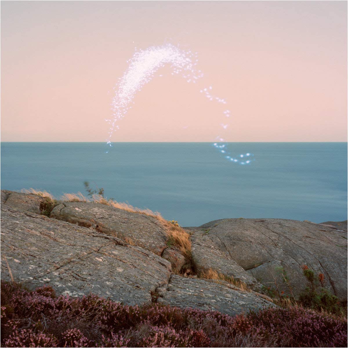 An Overview On Phenomenal Nature Cover Art